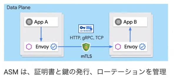 トラフィックの認証